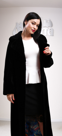 Модель ЛОТ222 Модель ЛОТ222